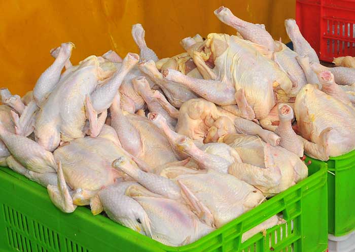 دلایل افزایش قیمت مرغ در بازار