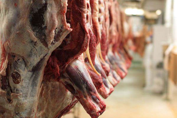 عرضه گوشت تازه در فروشگاه‌ها/ قیمت کیلویی ۳۱ هزار و ۵۰۰ تومان