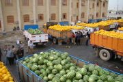 عراق چهار محصول کشاورزی ایران را بایکوت کرد