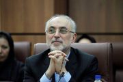 انصرا ف علی اکبر صالحی از کاندیداتوری :حضور در عرصه انتخابات برای بنده، مقبول و ممدوح نیست