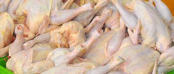 افزایش قیمت مرغ به ۲۷ هزار تومان