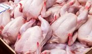 دولت و مجلس عاجز از کنترل قیمت مرغ/ دوران دستور مدیران به اقتصاد گذشته