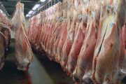افزایش قیمت گوشت گوسفندی به ۱۴۰ هزار تومان با سوء استفاده از کرونا