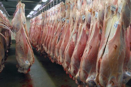 رییس شورای تامین دام: می‌خواهند گوشت کیلویی ۲۰۰ هزار تومان شود