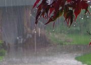 آغاز بارش ها از سه شنبه / اعلام مناطق بارانی