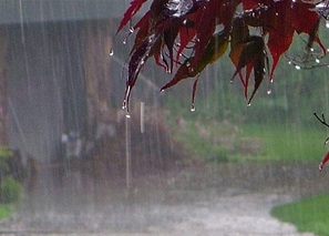 هواشناسی ۱۴۰۱/۰۲/۰۲؛ هشدار باران شدید در برخی استان‌ها