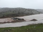 هشدار تداوم سیلاب در ۷ استان / وزش بادهای شدید در نوار شرقی