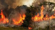 فرماندار کهگیلویه: مهار آتش سوزی خائیز کُند پیش می رود