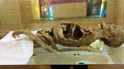مومیایی زن یزدی خوابیده در موزه کیست؟