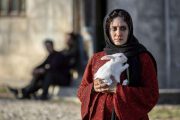 نامزدهای احتمالی بهترین فیلم‌ سی و نهمین جشنواره فیلم فجر