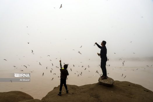 در۹ ماه امسال؛ ۱۳۲ هزار نفر در خوزستان بر اثر آلودگی هوا راهی بیمارستان‌ها شدند