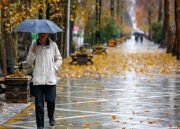 رگبار باران و وزش باد شدید در تهران/ پیش‌بینی افزایش دما