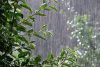هواشناسی ۲۴ اردیبهشت ۱۴۰۲ / بارش شدید باران در ۱۴ استان