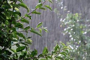 بارش باران در اغلب مناطق/ ورود سامانه بارشی جدید از دوشنبه