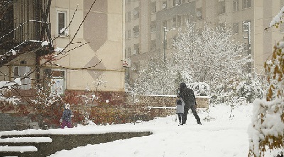 برف و باران در تهران