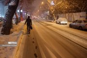 بارش برف در شمال تهران / تصاویر
