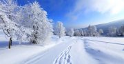 برف ارتفاعات استان اردبیل را سفیدپوش کرد