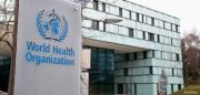 سازمان جهانی بهداشت به ایران برای «حذف مالاریا» گواهی می‌دهد؟