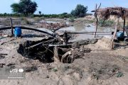 تصاویر/ خسارت‌های سیل به بخش کشاورزی سیستان و بلوچستان