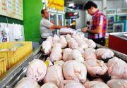 مدیرعامل اتحادیه مرغداران درباره علت گرانی مرغ: اشکال از واحد‌های فروش است