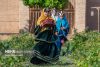 تصاویر/ احیای سنت گلاب گیری حرم رضوی در باغ دولت‌آباد یزد